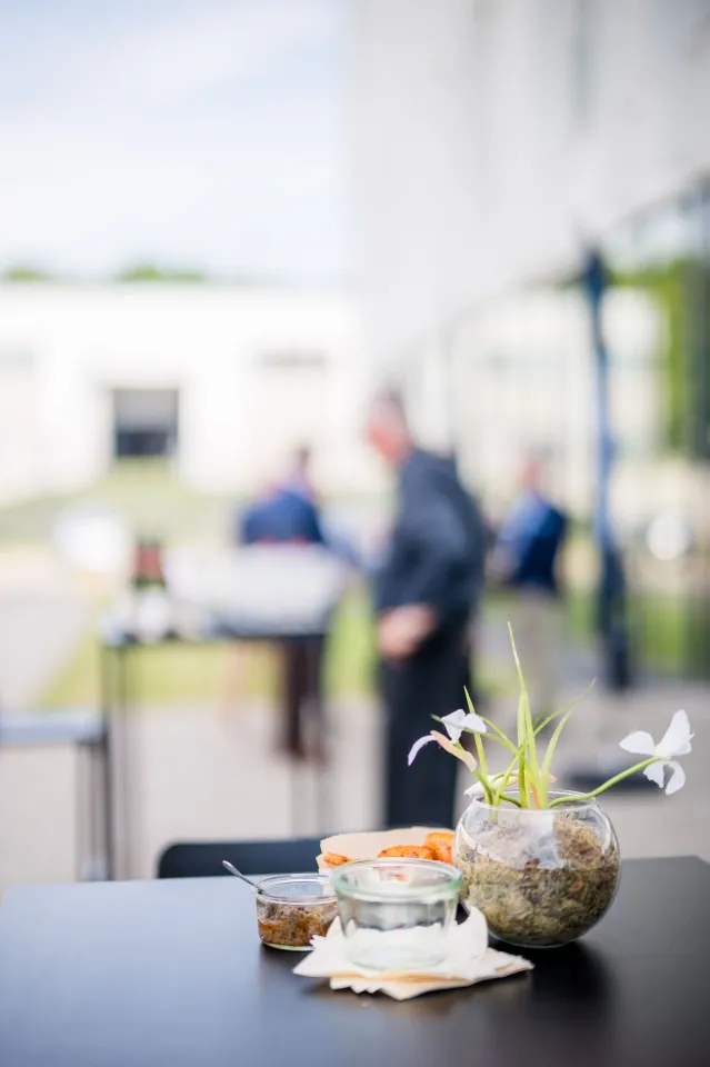 Zone du catering